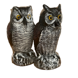 Outdoor Owl Decoys (Set of 2)